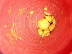 Aterosklerosis: Mengenal Penyakit Jantung yang Perlu Diwaspadai