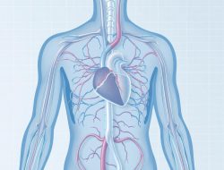Penyakit Dislipidemia: Gejala, Penyebab, dan Penanganannya