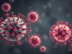 Penyakit Hantavirus: Bahaya, Gejala, dan Langkah Pencegahan