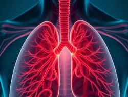 Hypercarbia: Causes, Symptoms, and Effective Treatments